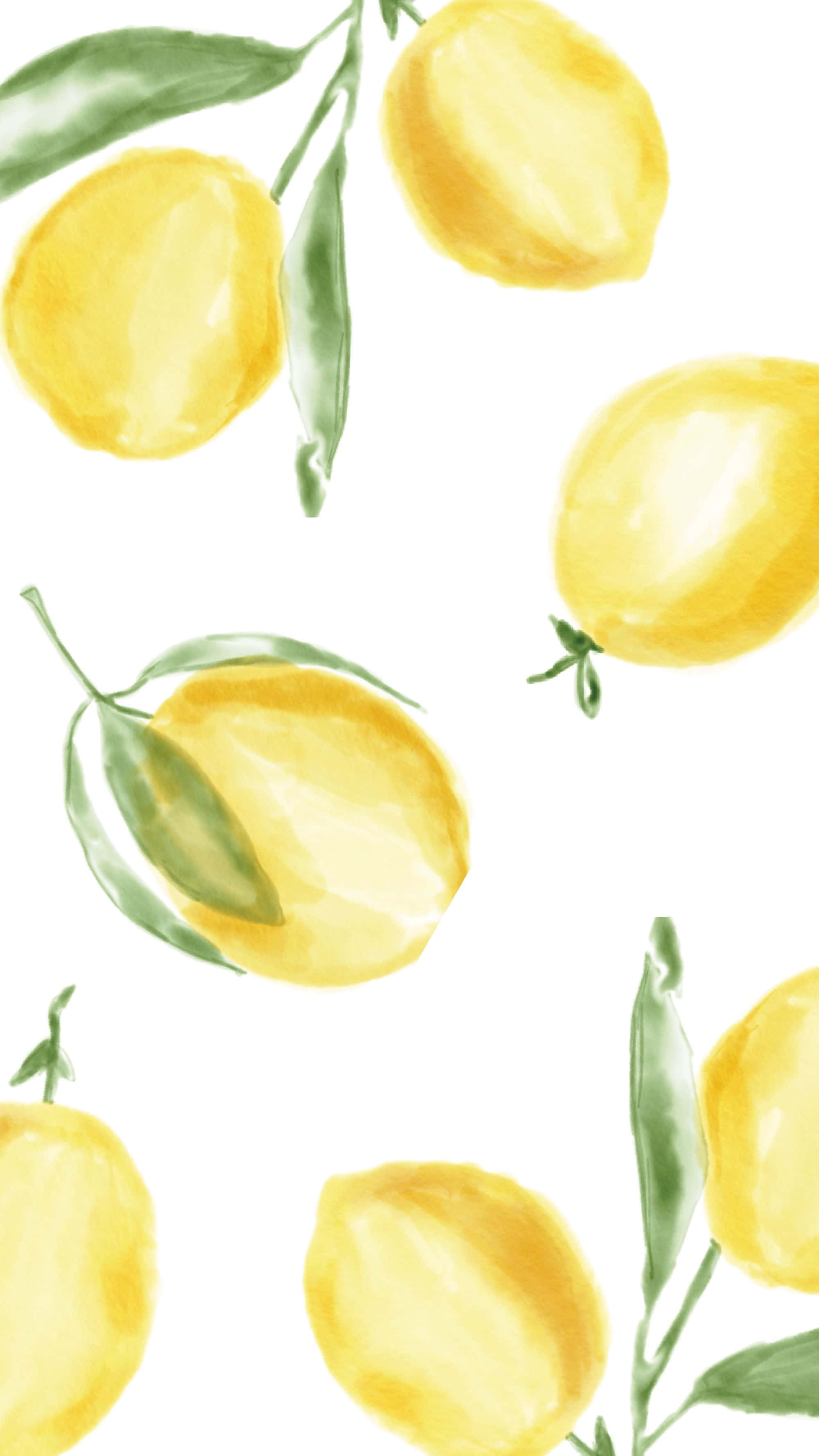 Aesthetic Lemon, watercolor, lemons, 2K Phone Wallpaper