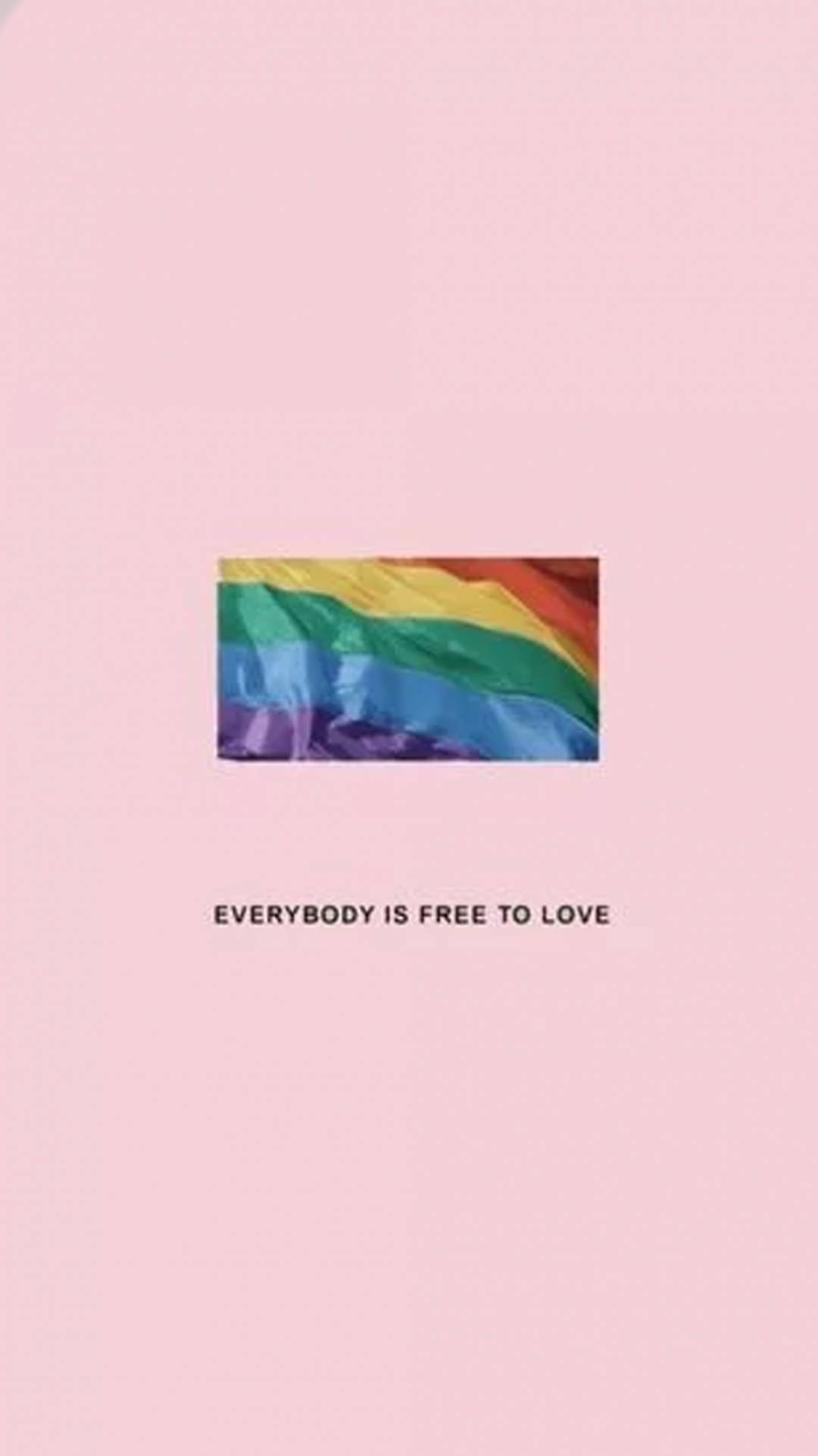 rainbow flag, pink background, text everybody is free to love, Full HD Phone Wallpaper