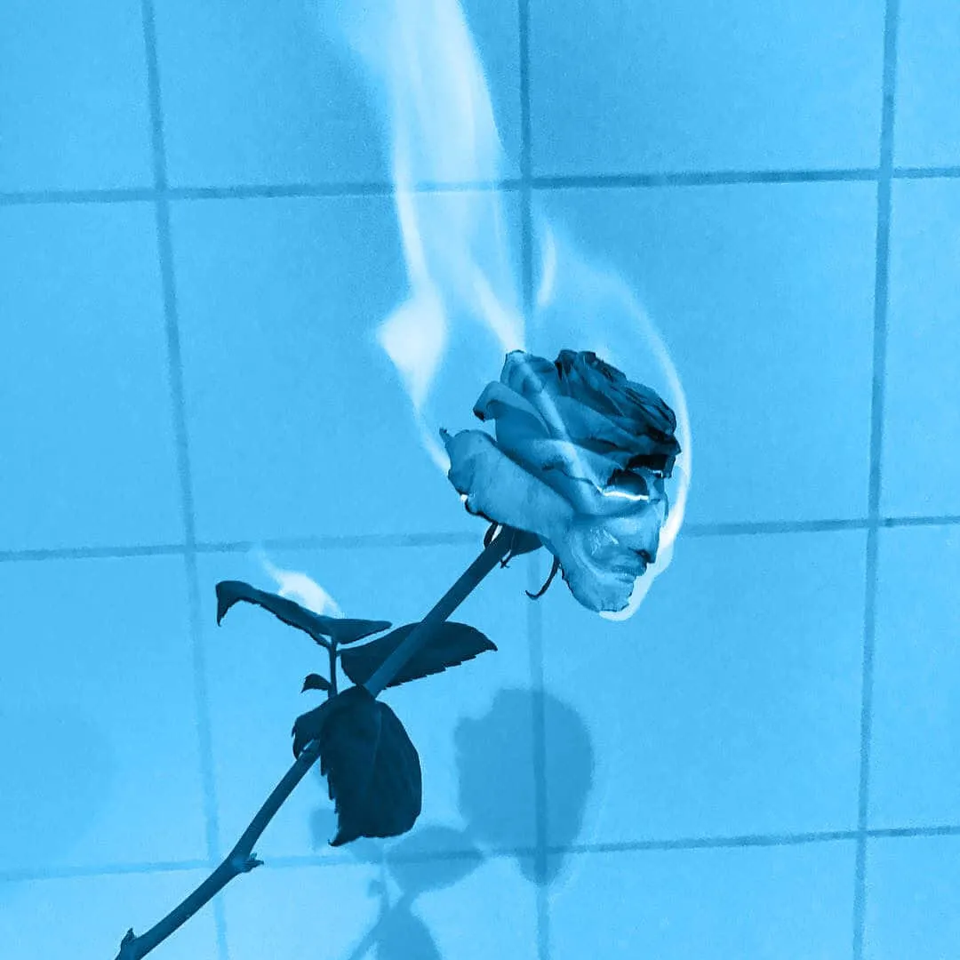Aesthetic Light Blue