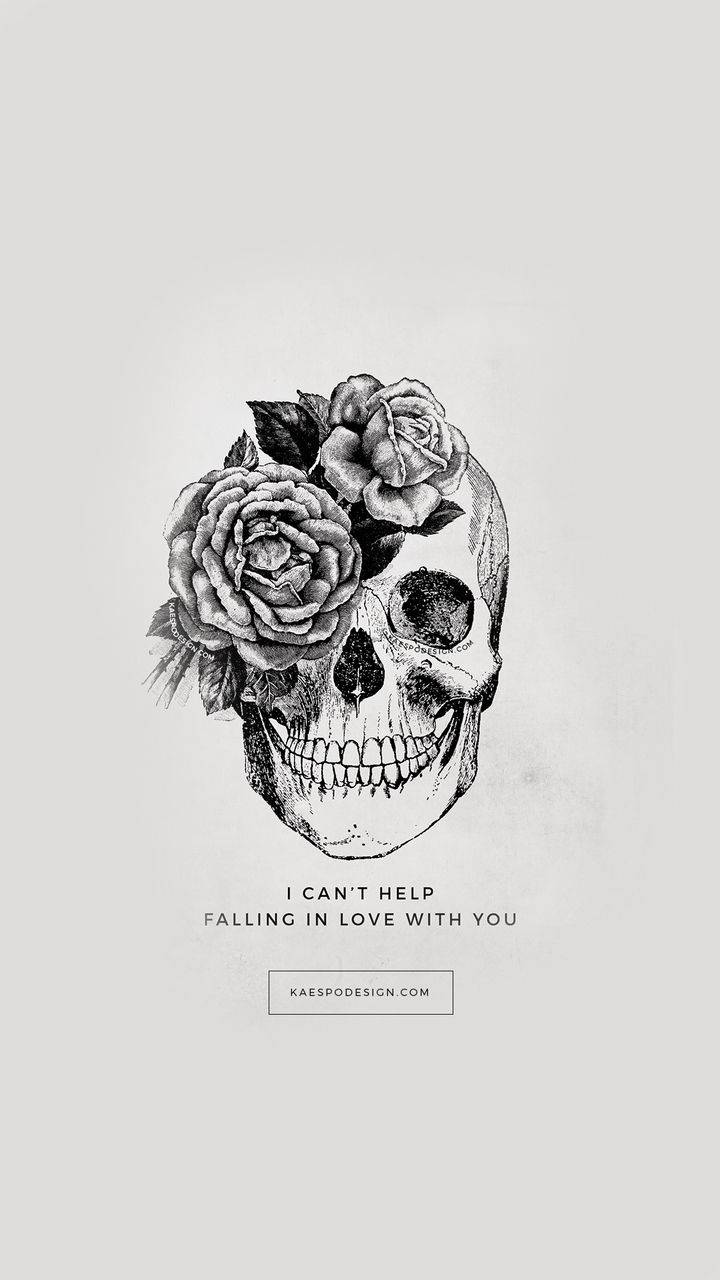 Aesthetic Love, skull, roses, HD Phone Wallpaper
