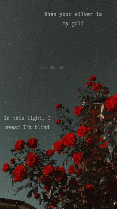 Aesthetic Love, roses, red roses, SD Phone Wallpaper