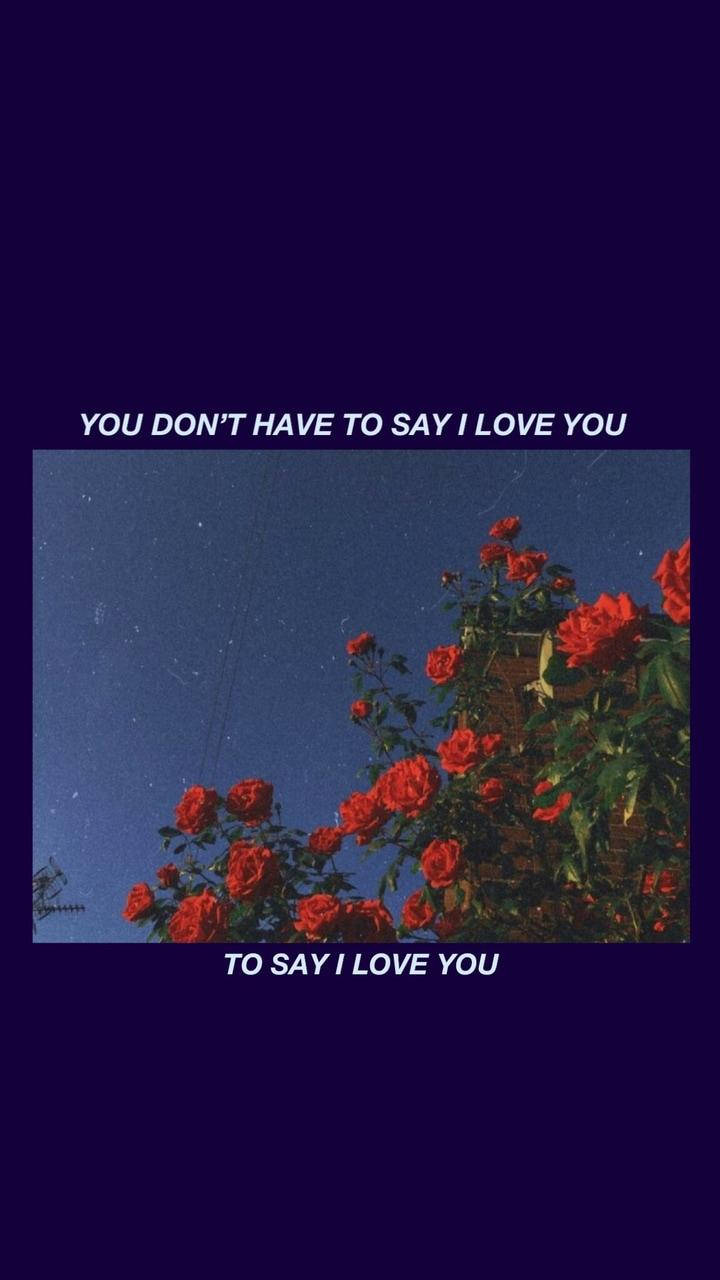 Aesthetic Love, roses, starry night sky, HD Phone Wallpaper
