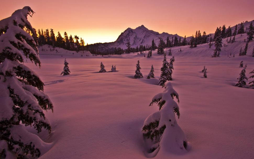 Snowy Ground, Golden Hour, Winter Forest, SD Desktop Wallpaper