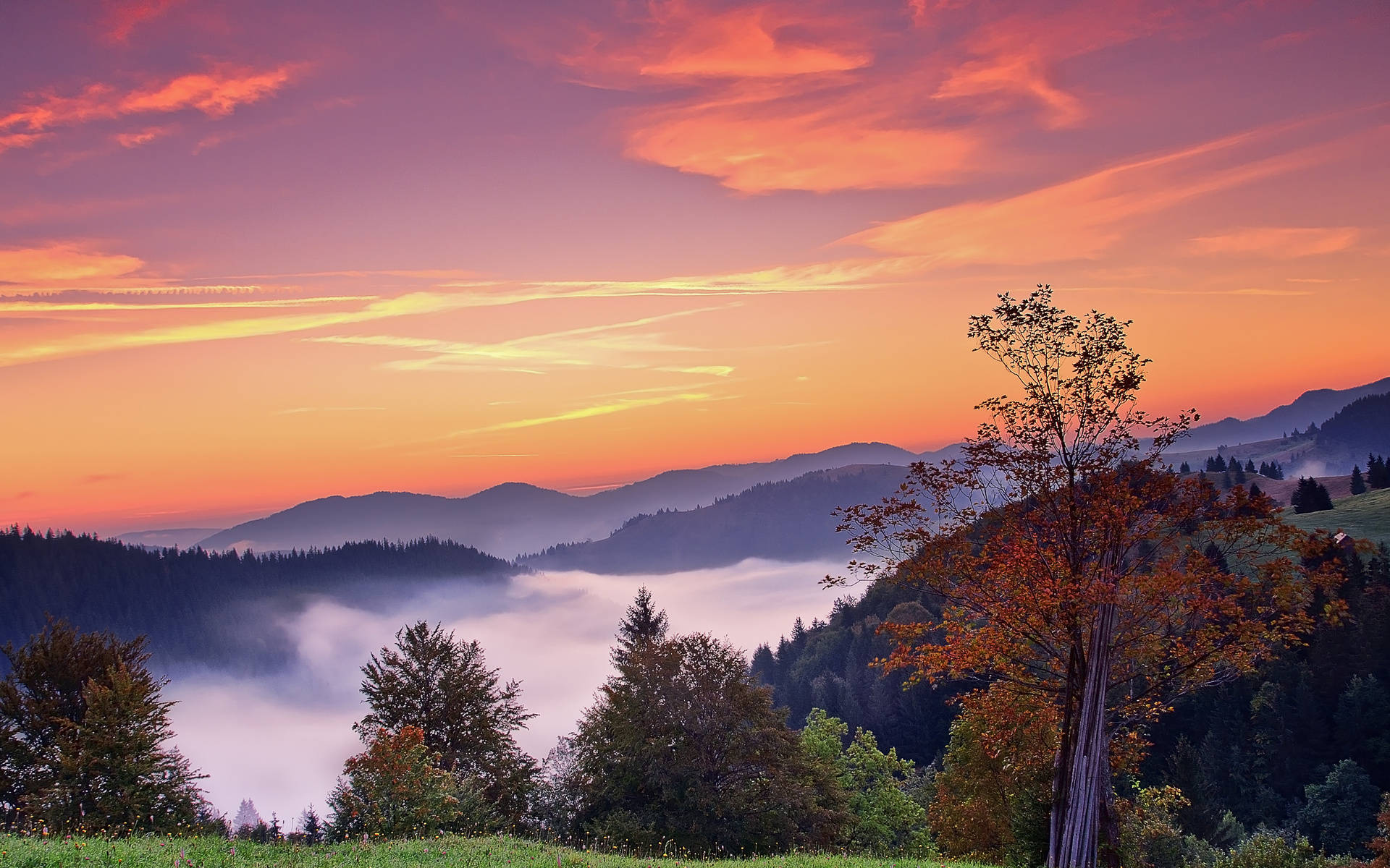 autumn fog sunrise, misty mountains, vibrant orange and purple skies, Full HD Desktop Wallpaper