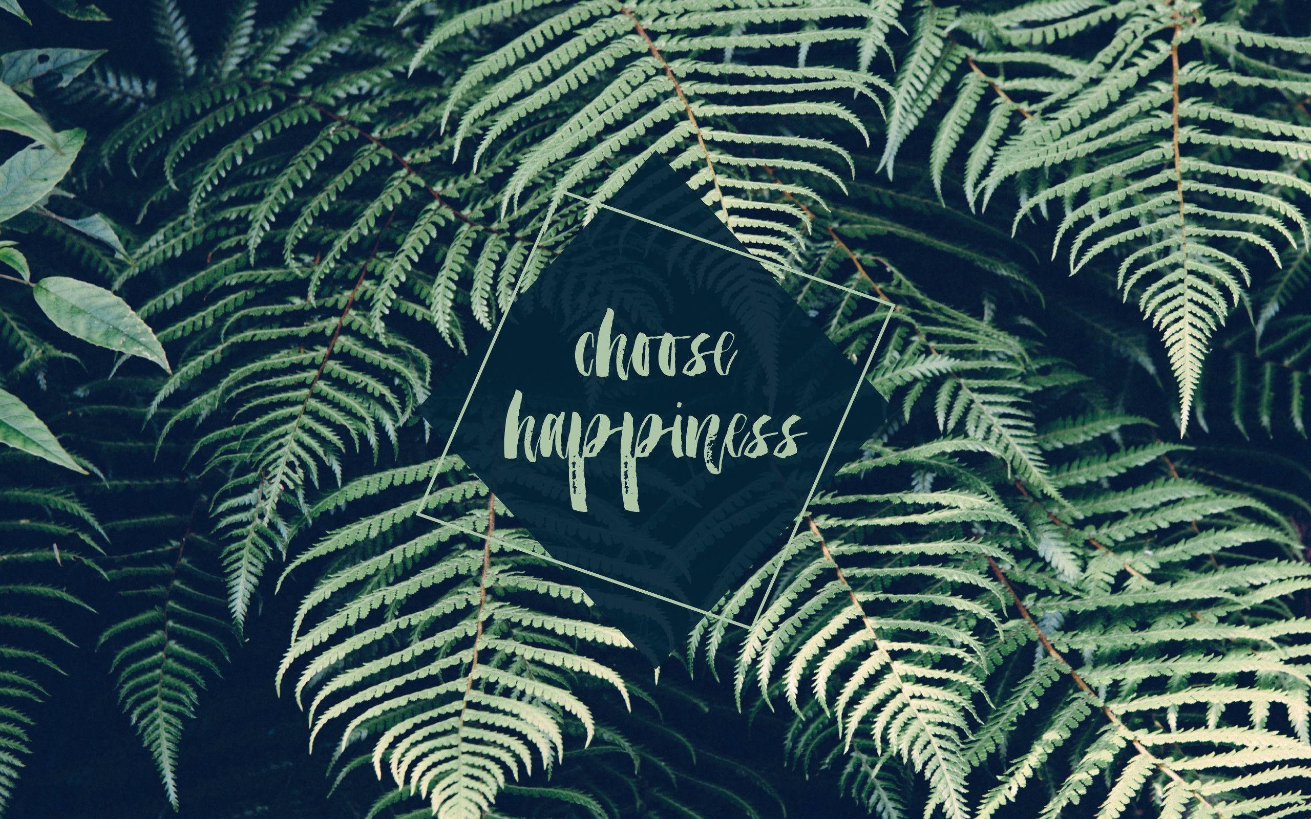Aesthetic MacBook, green happiness, lush green fern fronds, 2K Desktop Wallpaper