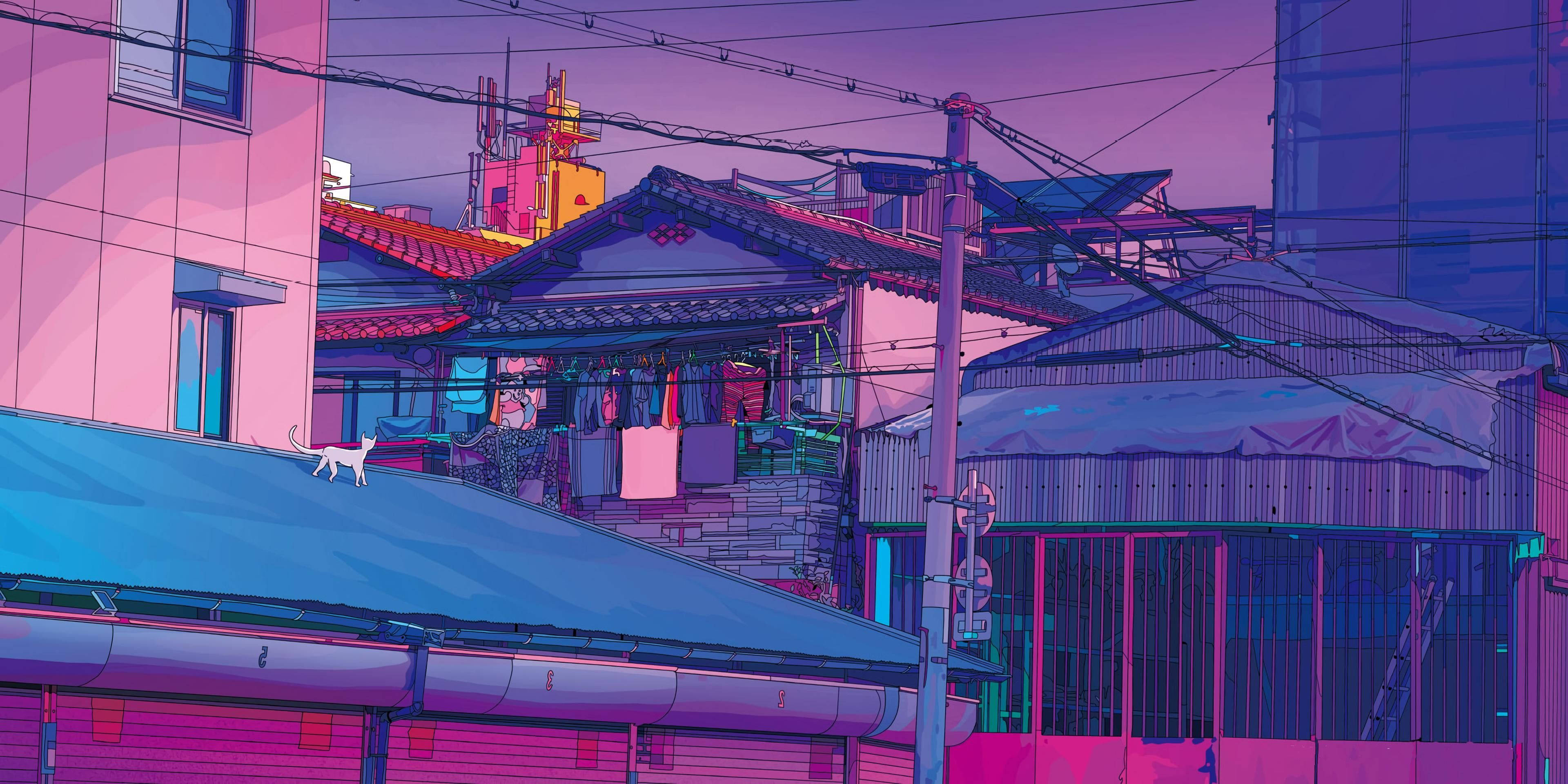 anime scene, dusk, white cat, 4K Desktop Wallpaper