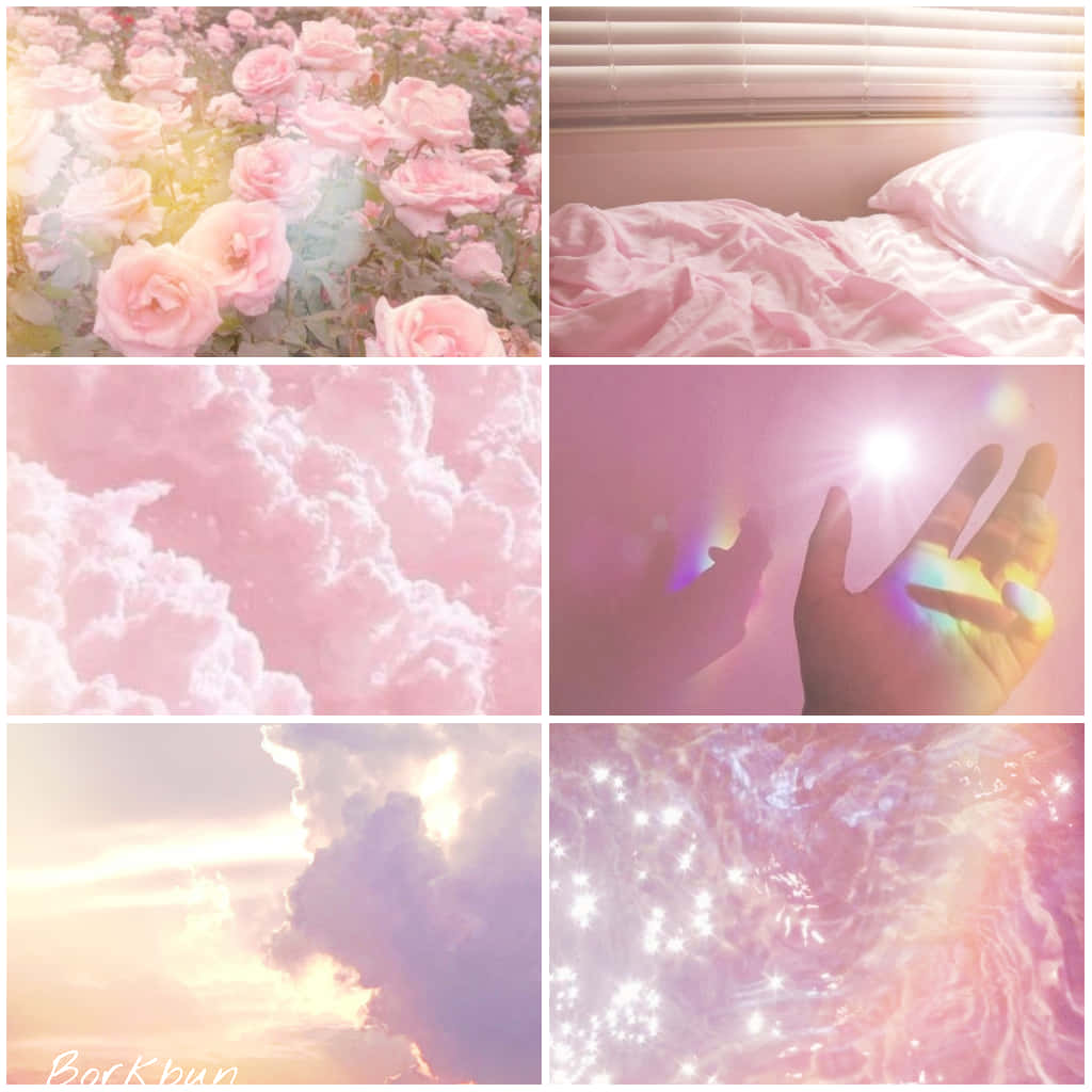 pink roses, soft clouds, hand catching light, SD Desktop Wallpaper