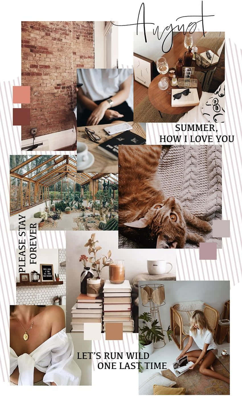 warm summer moodboard, brick wall, cozy cat greenhouse, HD Phone Wallpaper