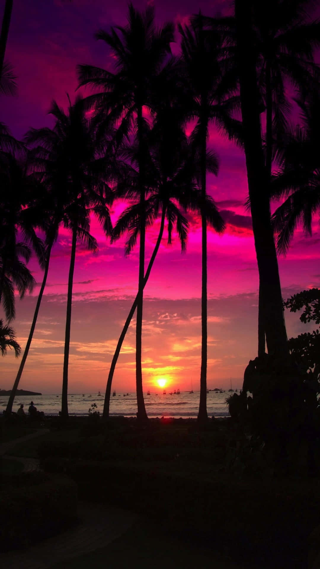 palm trees, vibrant pink and orange sunset, tranquil ocean, Full HD Phone Wallpaper