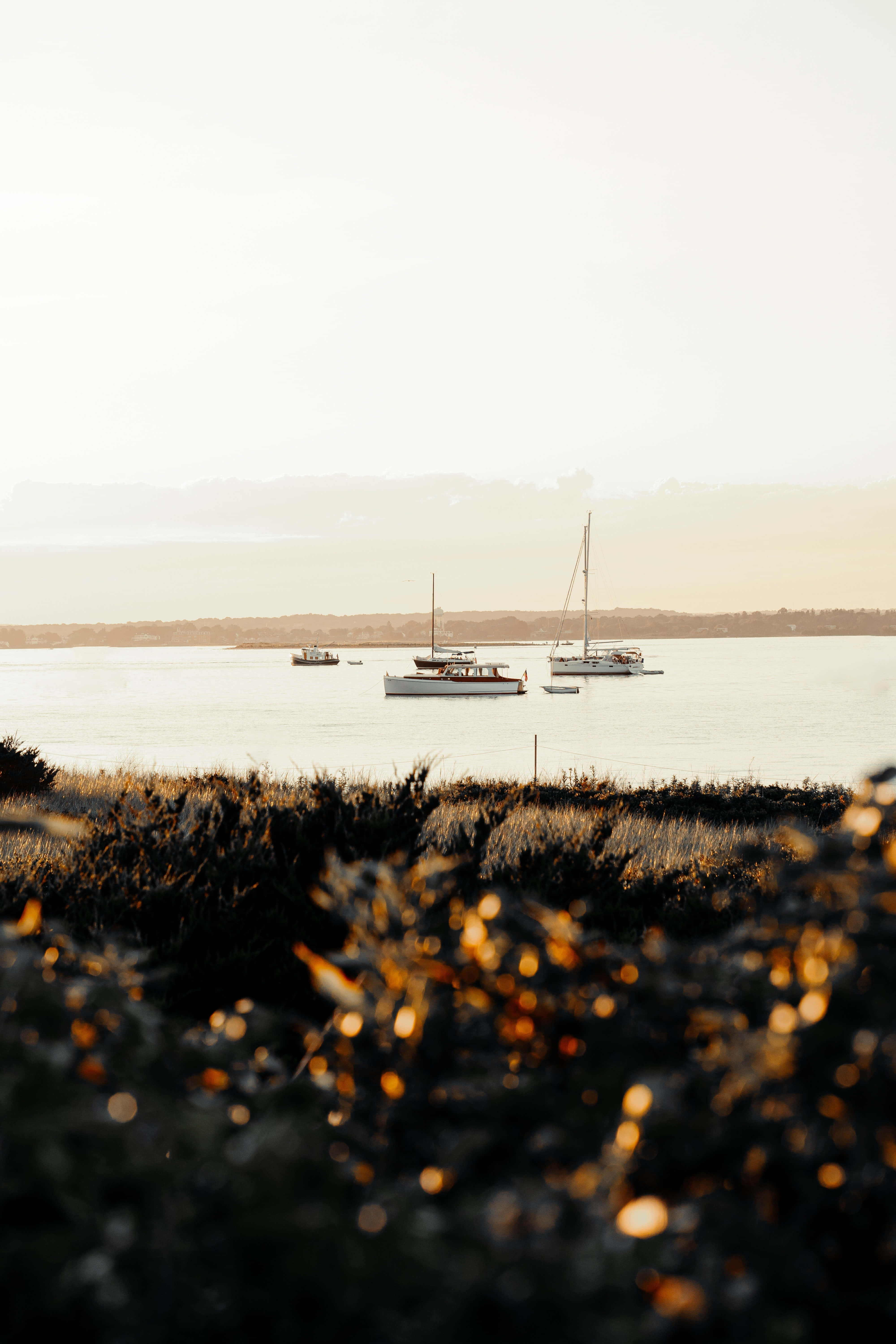 Golden hour, sailboats, calm water, 5K Phone Wallpaper