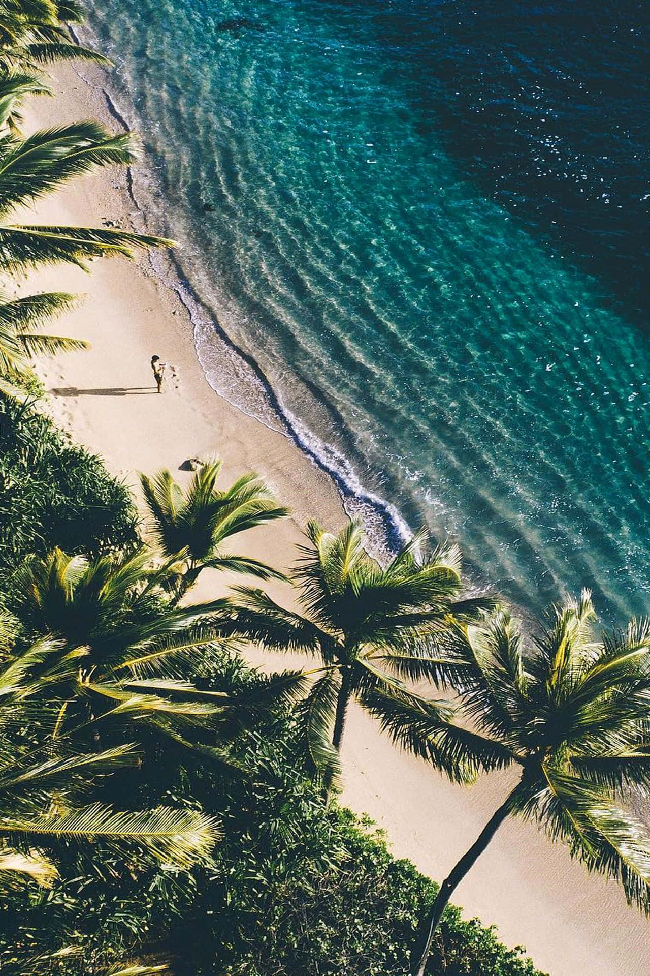 turquoise ocean, sandy beach, lush green palm trees, Full HD Phone Wallpaper