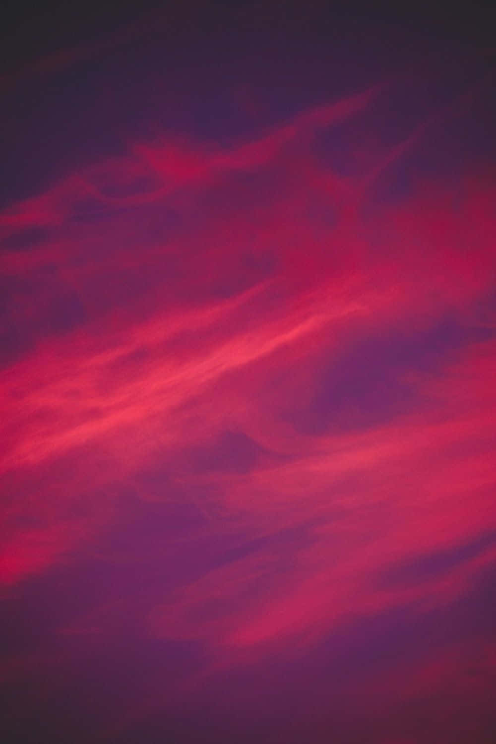 crimson, magenta, dusky purple, HD Phone Wallpaper