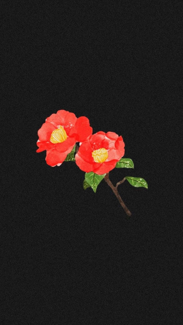 red camellia flowers, yellow centers, slender branch, HD Phone Wallpaper