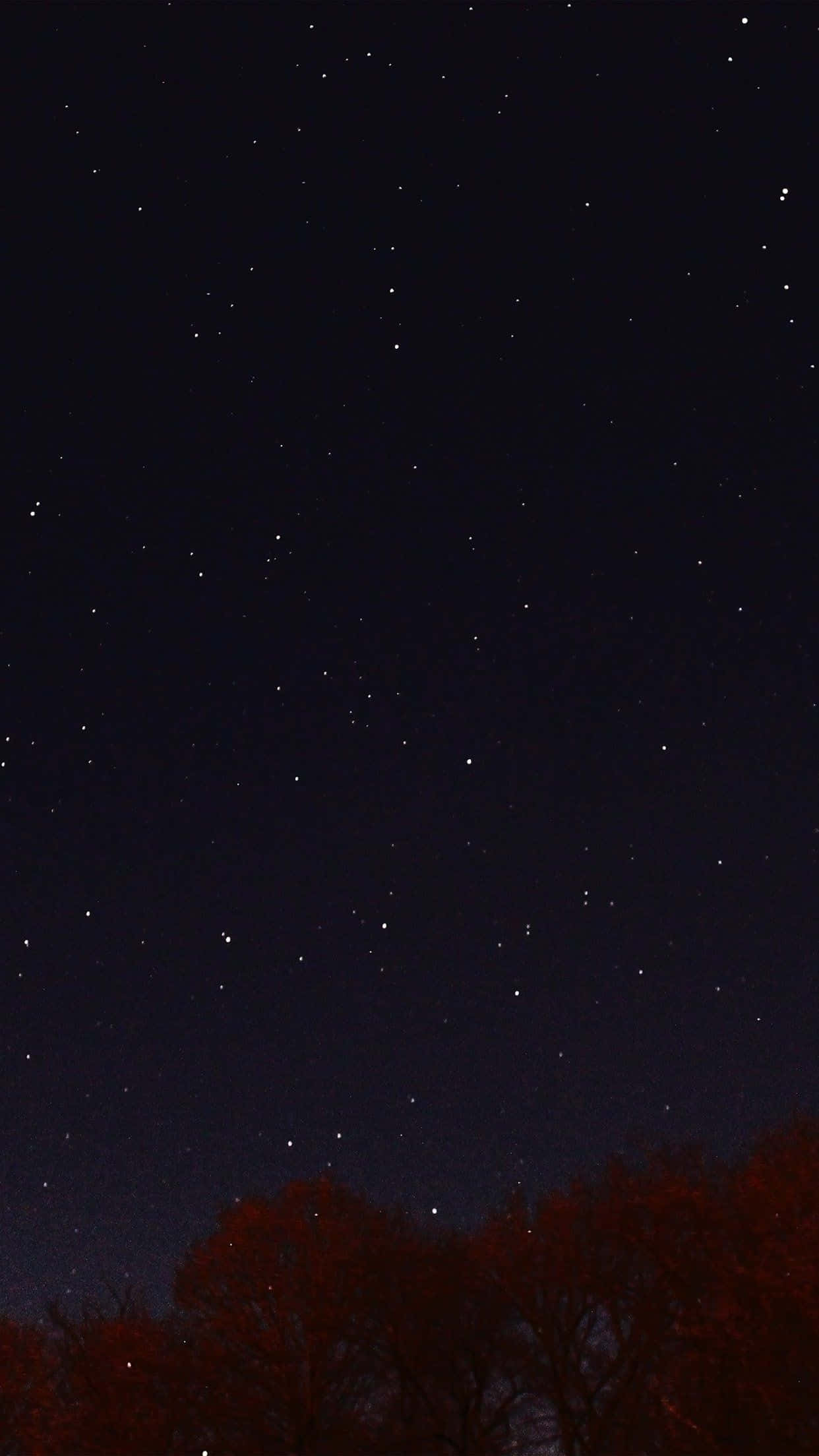 Aesthetic Night Sky, starry night sky, silhouetted trees, Full HD Phone Wallpaper