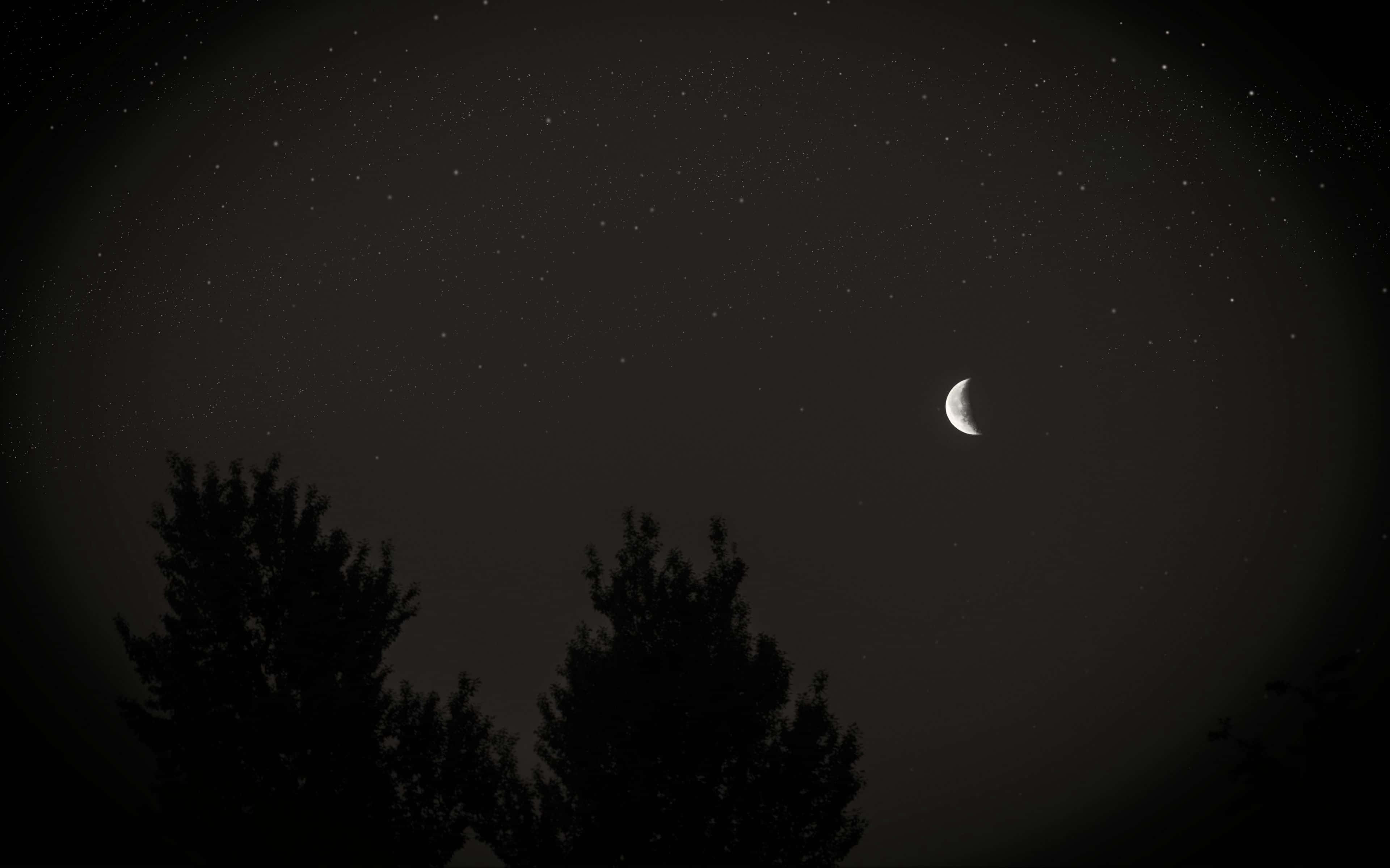 Aesthetic Night Sky, crescent moon, silhouetted trees, 4K Desktop Wallpaper