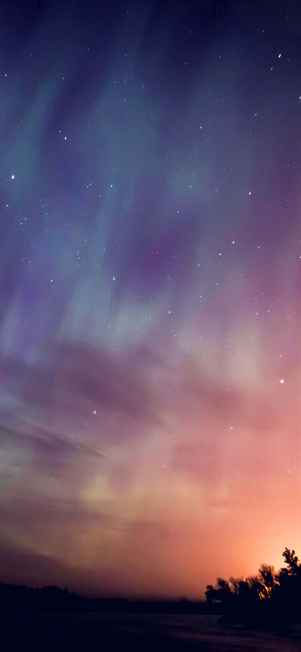aurora bore, starry twilight sky, silhouetted trees, 2K Phone Wallpaper