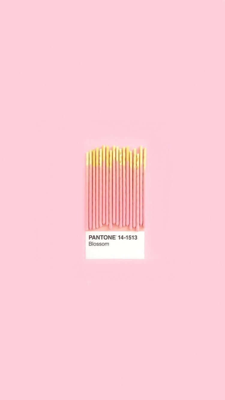 Aesthetic One Color, pink, yellow, HD Phone Wallpaper