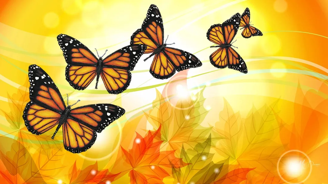 Aesthetic Orange Butterfly