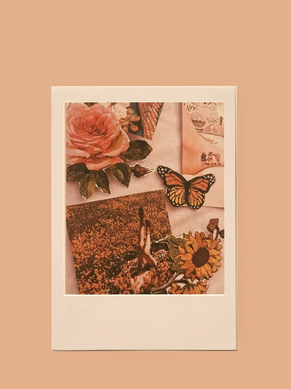 Aesthetic Orange Butterfly, vintage collage, rose butterfly, HD Phone Wallpaper
