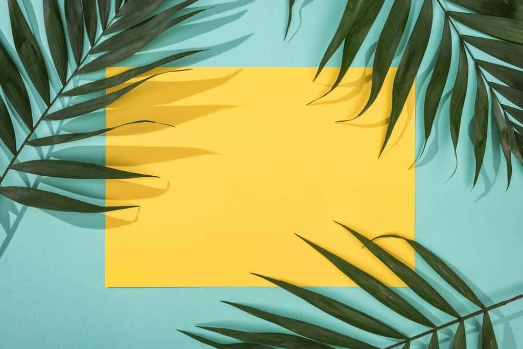 Aesthetic Palm Leaves, yellow rectangle, teal background, SD Desktop Wallpaper