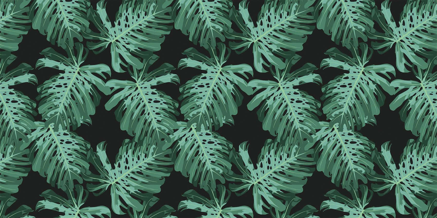 aesthetic palm leaves, teal green, monstera leaves, HD Desktop Wallpaper