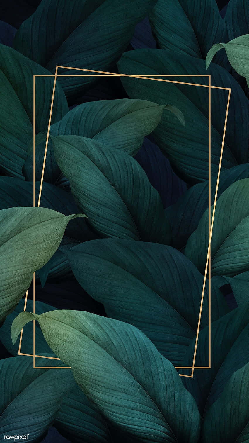 Aesthetic Palm Leaves, deep green tropical leaves, golden geometric frame, HD Phone Wallpaper