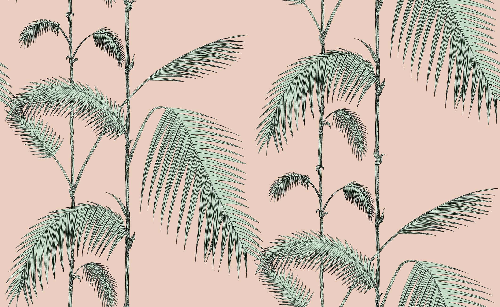 Aesthetic Palm Leaves, teal ink, soft pink background, Full HD Desktop Wallpaper