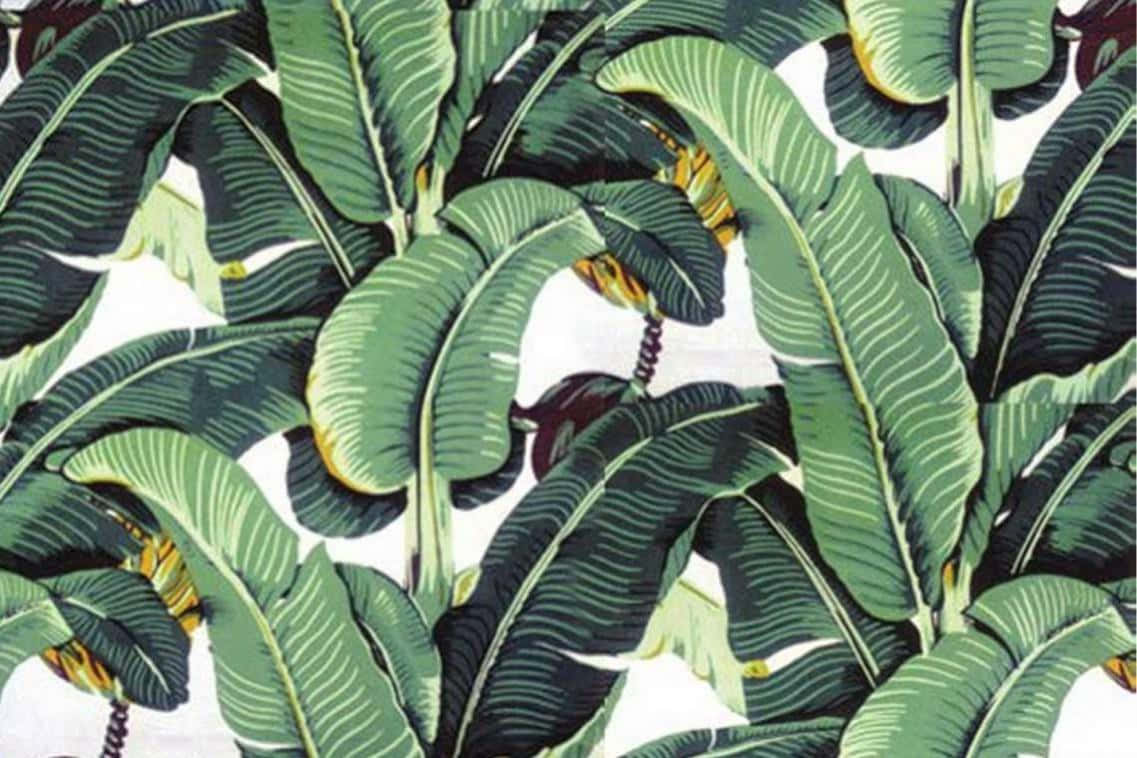 Aesthetic Palm Leaves, tropical banana leaves, yellow accents, SD Desktop Wallpaper