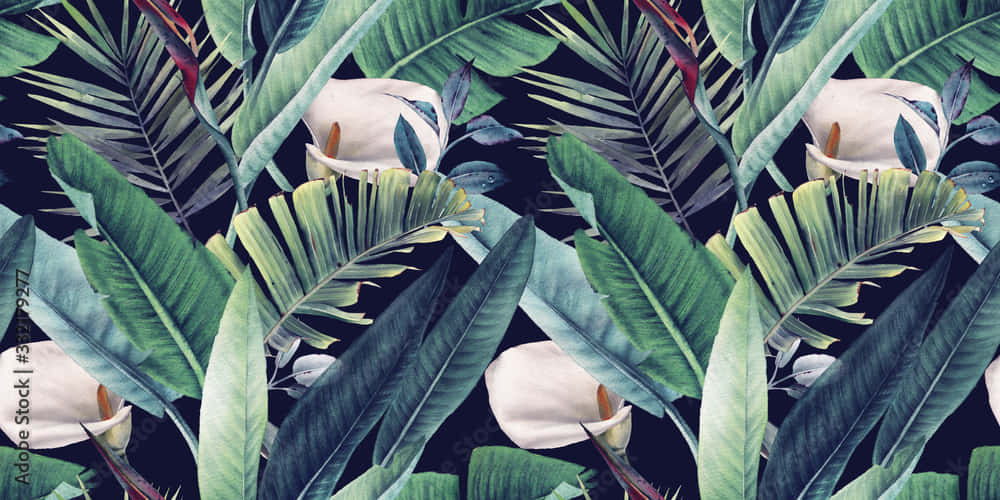 aesthetic palm leaves, tropical foliage, white calla lilies, SD Desktop Wallpaper