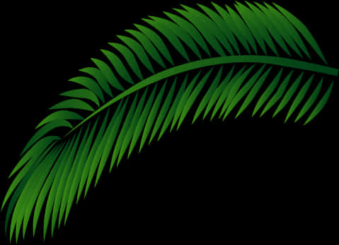 green palm leaf, vibrant green, palm frond, SD Desktop Wallpaper