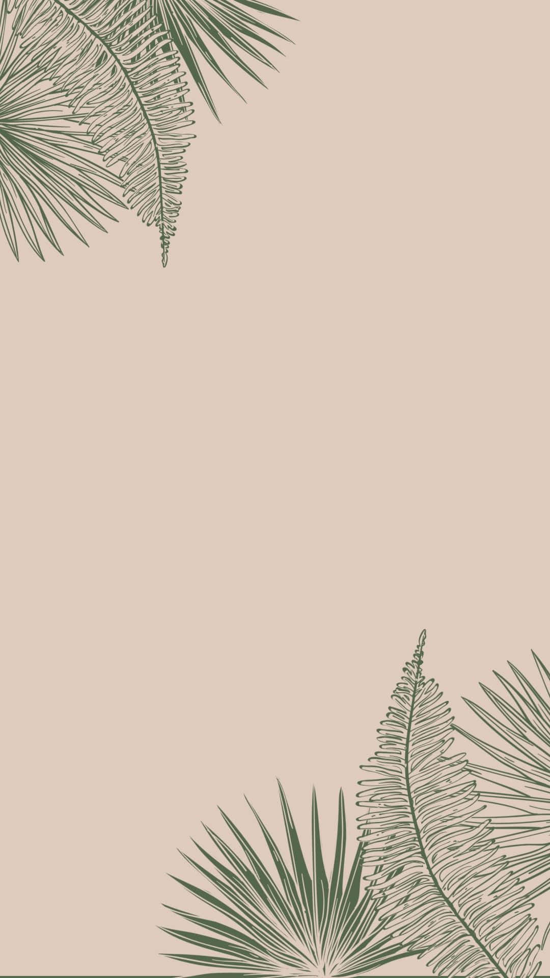 aesthetic instagram palm and ferns leaves, delicate green palm fronds, ferns, Full HD Phone Wallpaper