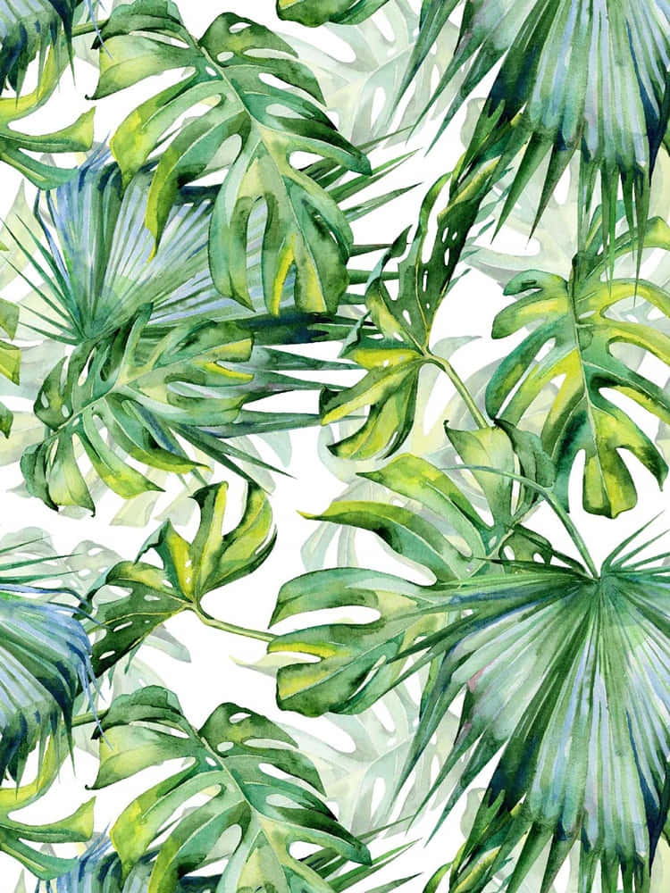 tropical leaves, watercolor painting, vibrant, SD Phone Wallpaper