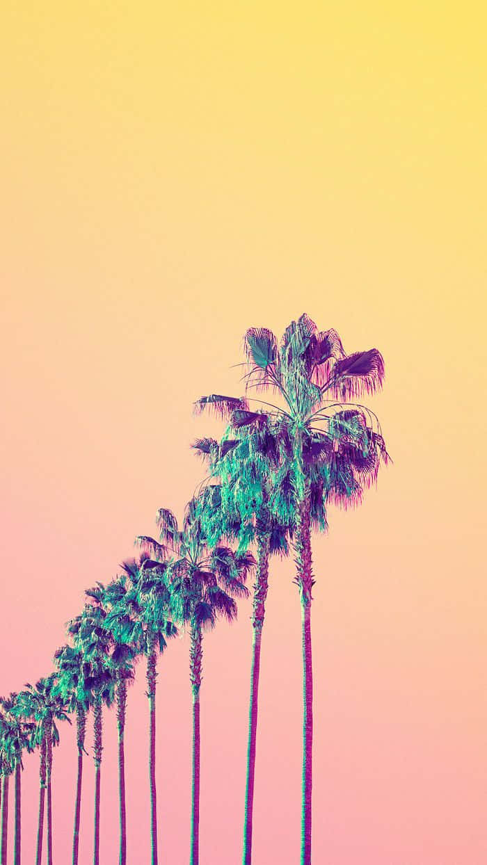 aesthetic palm trees, yellow sky, teal fronds, SD Phone Wallpaper