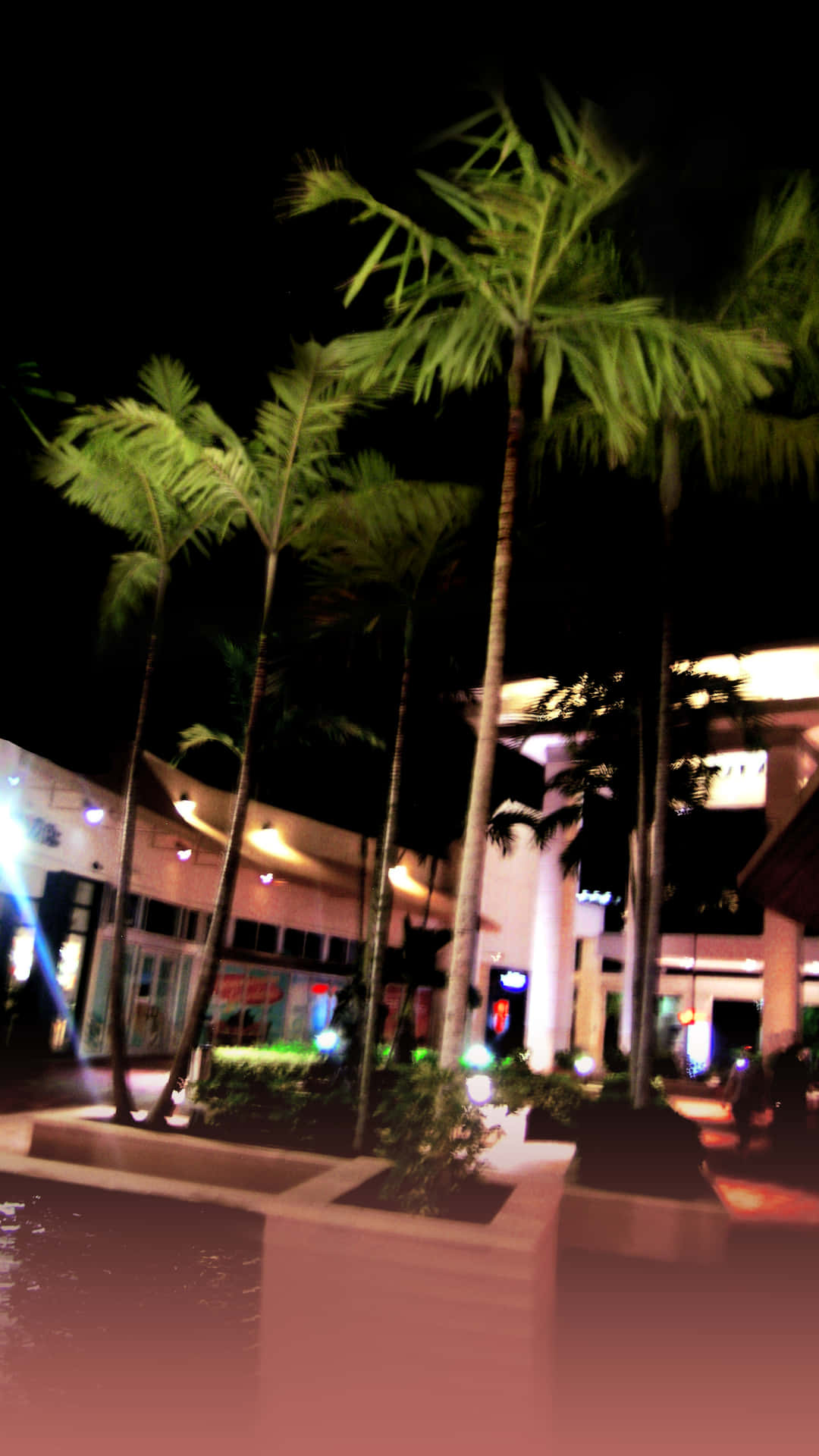 aesthetic palm tree, night lights, tropical urban plaza, Full HD Phone Wallpaper