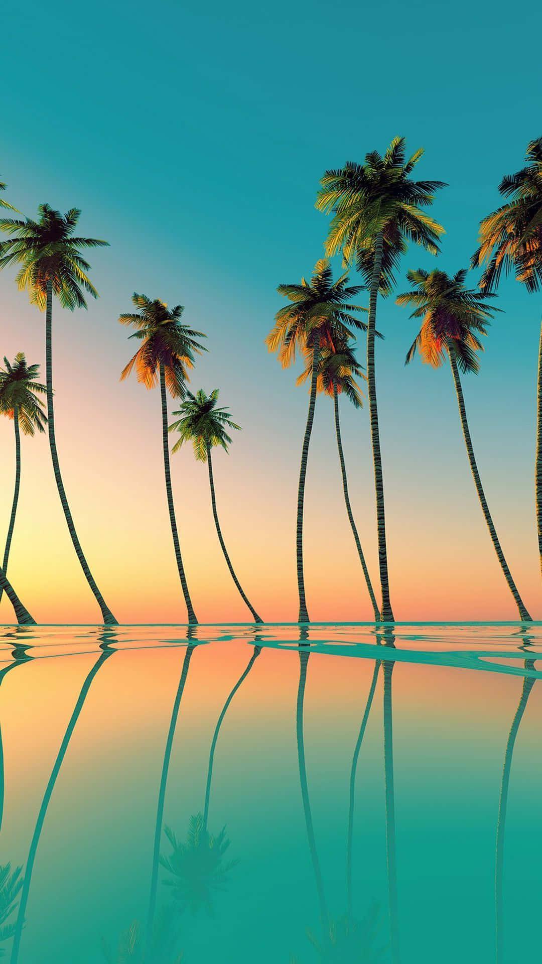 Aesthetic Palm Tree, vibrant orange sunset, calm turquoise water, Full HD Phone Wallpaper