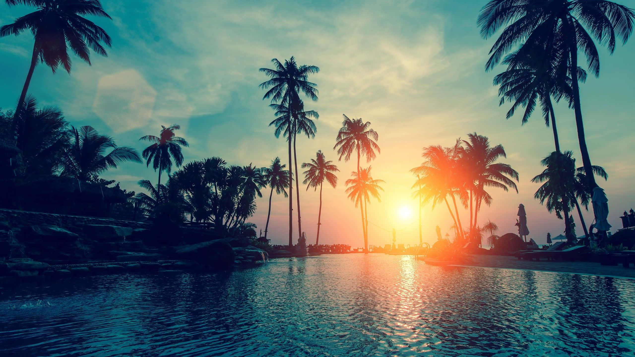 Sunset, palm trees, tranquil pool, 2K Desktop Wallpaper