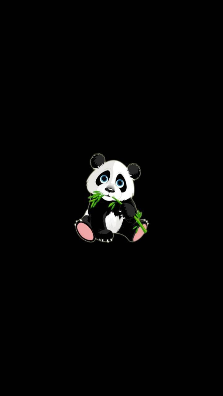 Aesthetic Panda, blue eyes, black background, HD Phone Wallpaper
