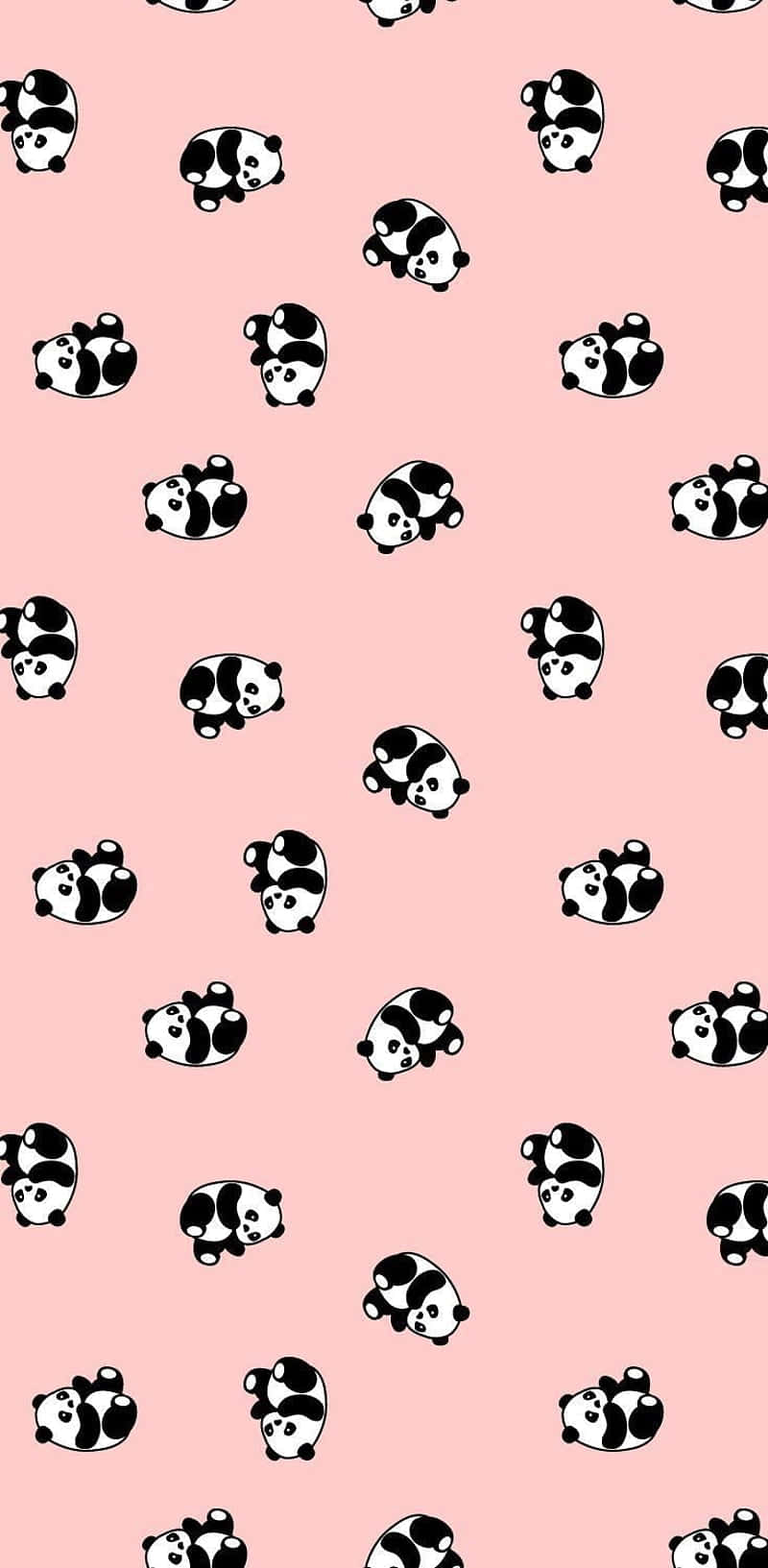 Girly Cute Panda, black and white panda, soft pink background, HD Phone Wallpaper