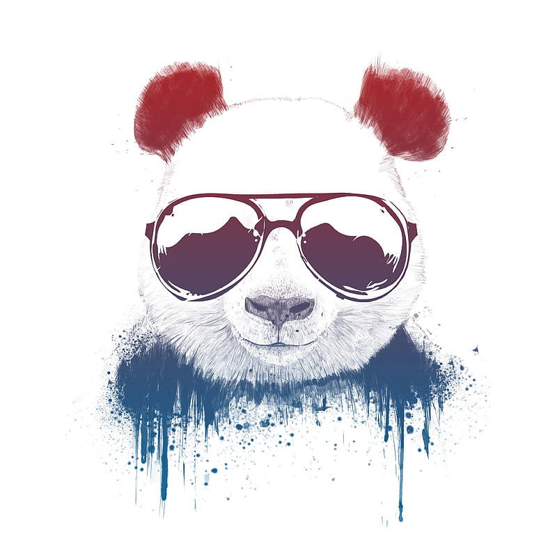 Panda Swag Art, stylized panda, oversized sunglasses, SD Desktop Wallpaper