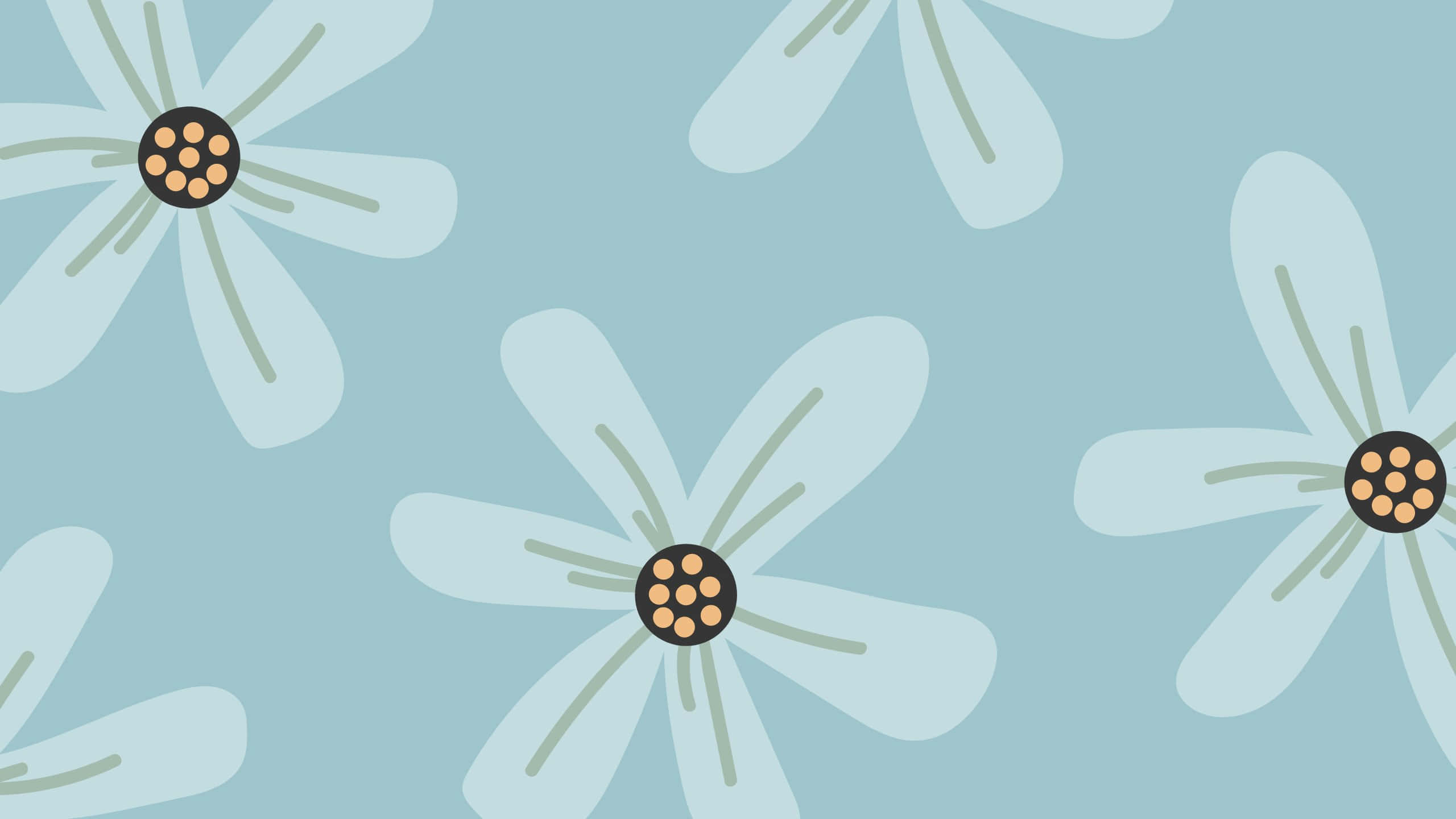 pastel daisy pattern, white flowers, orange centers, 2K Desktop Wallpaper