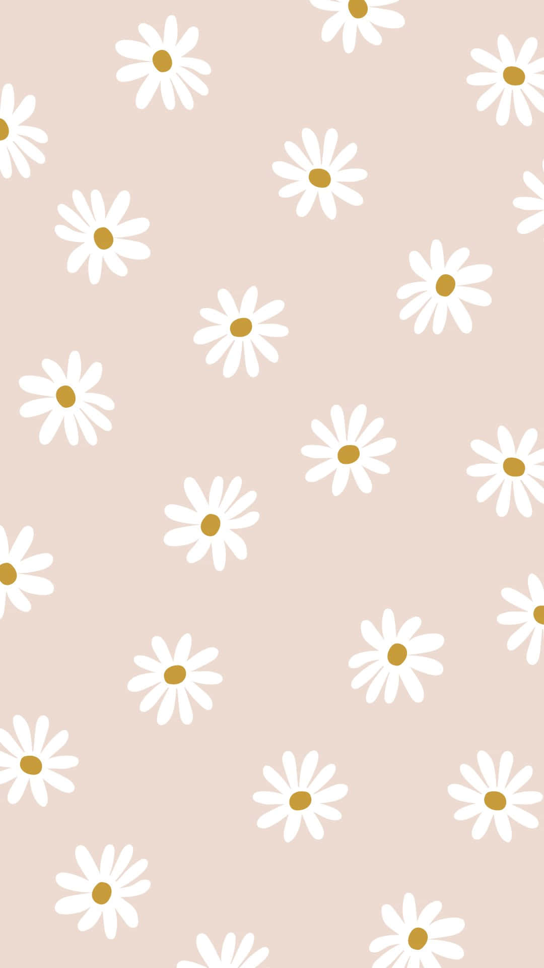 pastel daisy pattern, blush pink background, white daisies, Full HD Phone Wallpaper