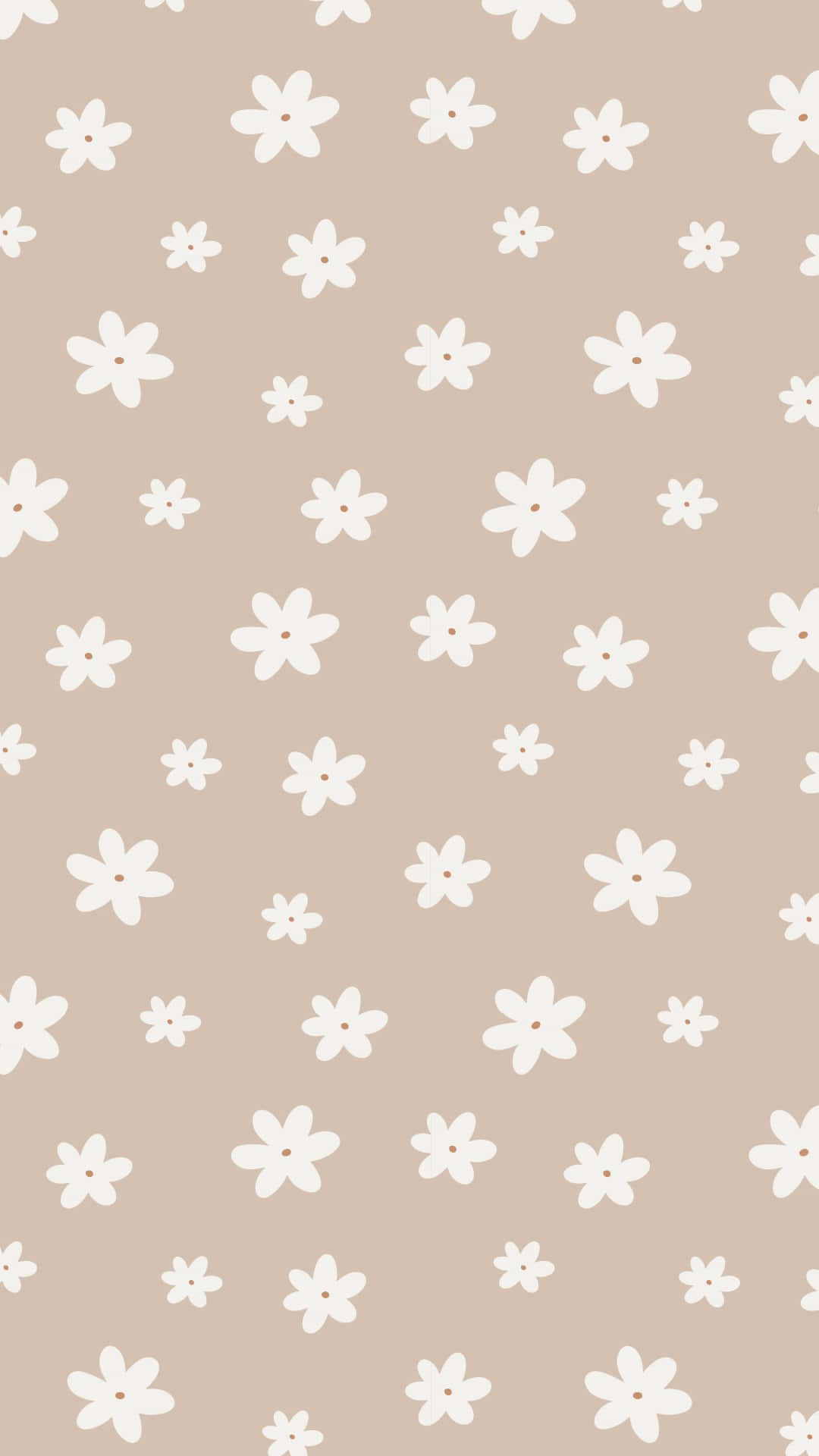 pastel daisy pattern background, soft beige background, white five-petaled flowers, Full HD Phone Wallpaper