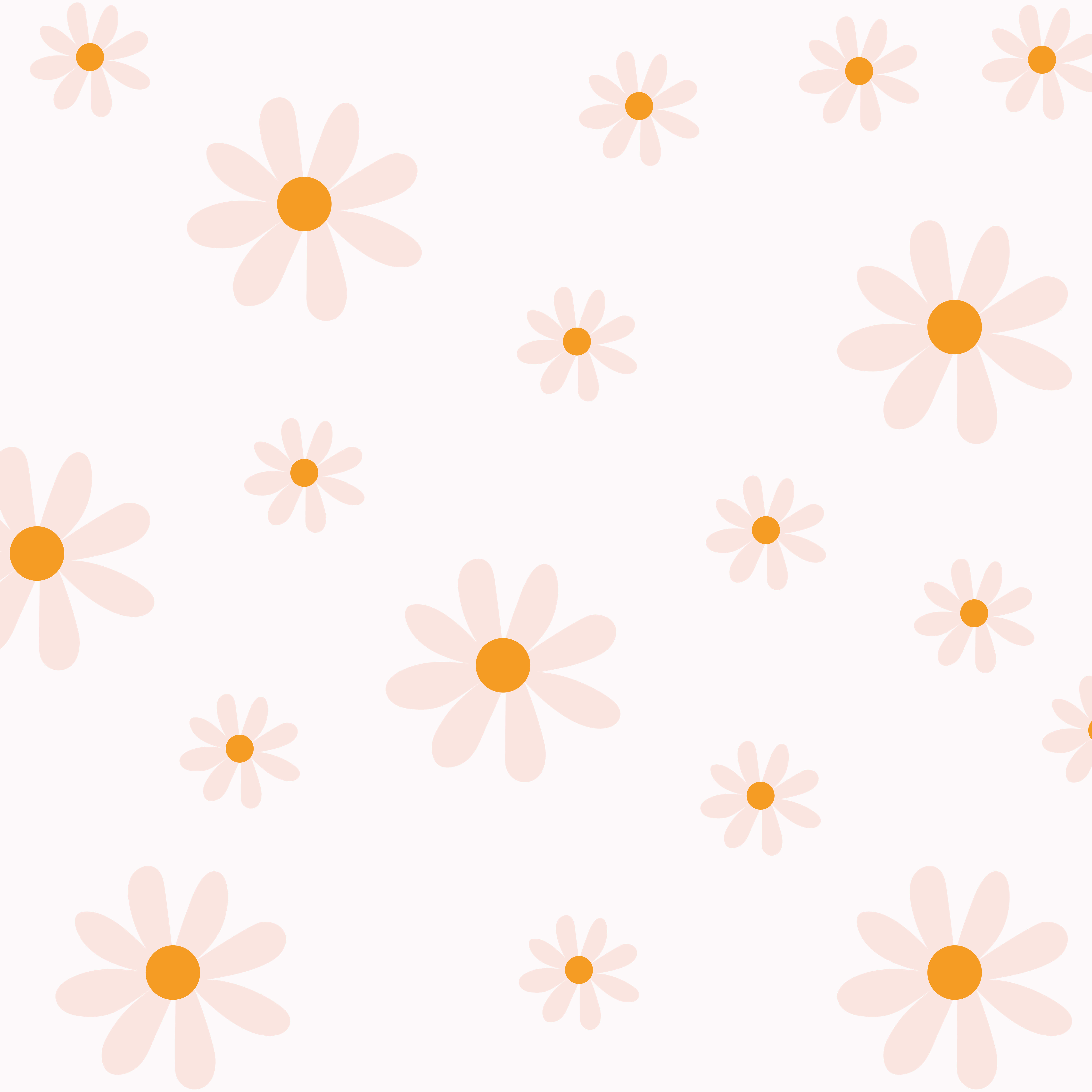 pastel pink daisies, orange centers, soft white background, 5K Desktop Wallpaper