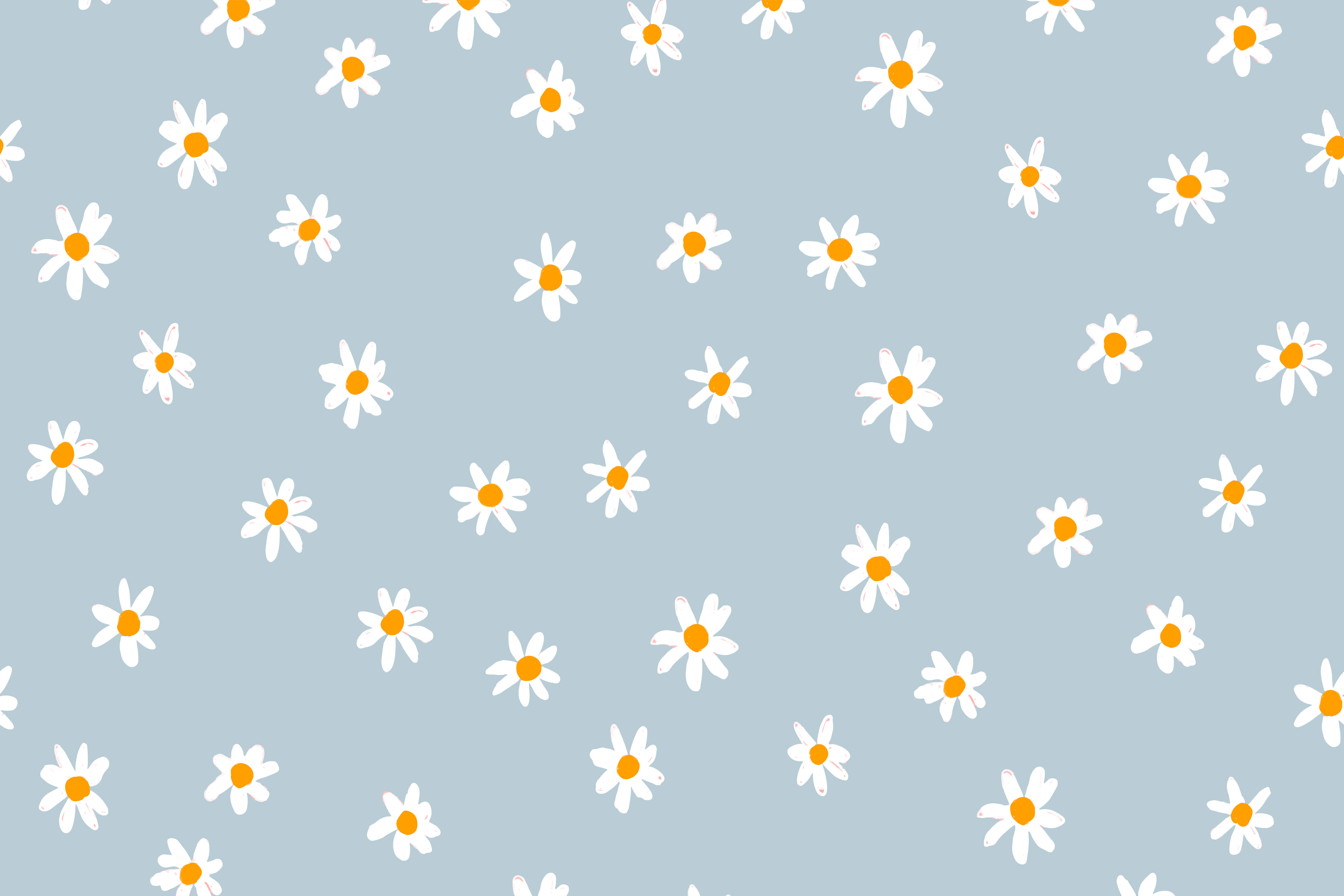 pastel daisy pattern, soft blue background, simple white daisies, 4K Desktop Wallpaper