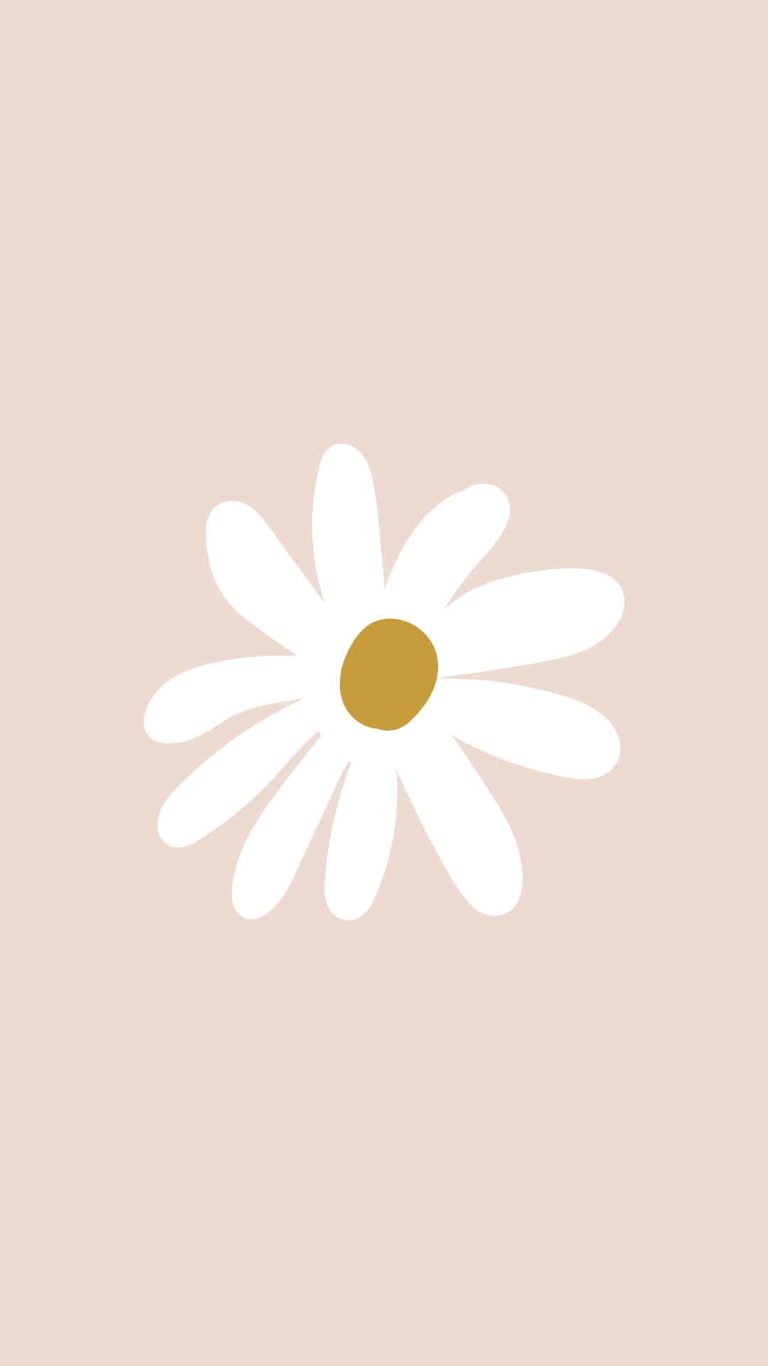 pastel daisy, simple art, minimalist white daisy, Full HD Phone Wallpaper