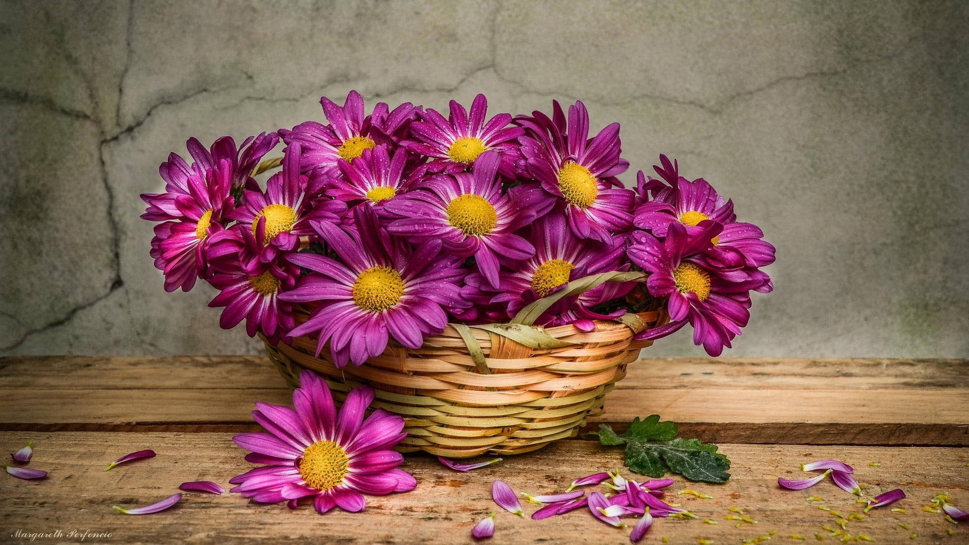 violet daisy aesthetic, woven basket, vibrant purple daisies, Full HD Desktop Wallpaper