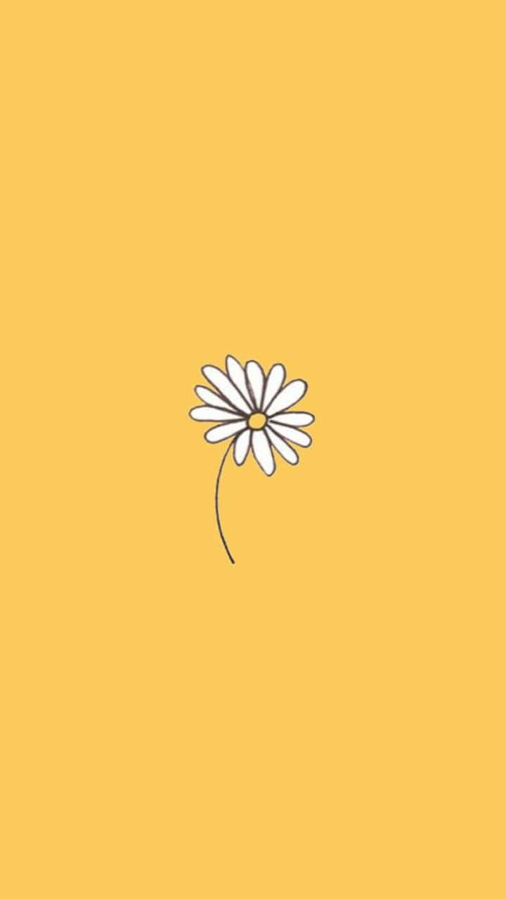 Aesthetic Daisy, white daisy, yellow center, SD Phone Wallpaper