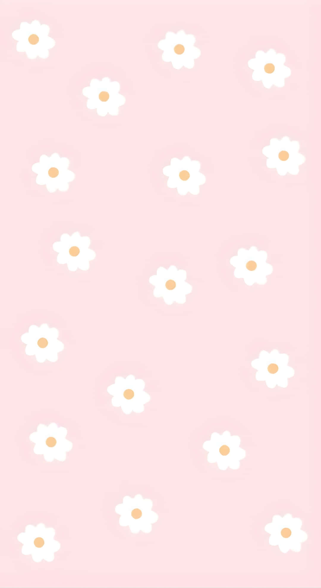 Soft Daisy Pastel Pattern, soft pink background, white daisies, Full HD Phone Wallpaper
