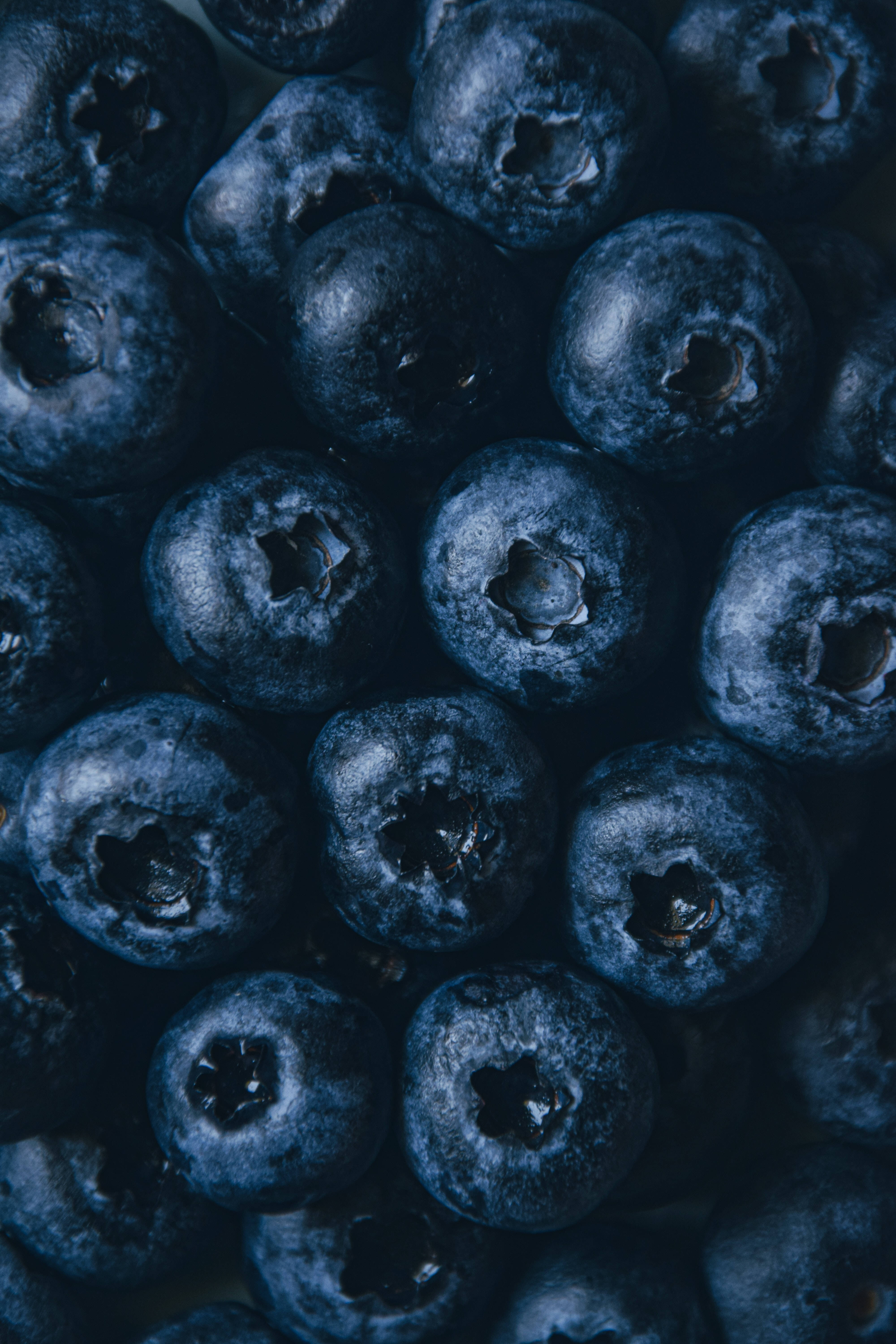 blueberry fruits, dusty blue skins, star-shaped calyxes, 5K Phone Wallpaper