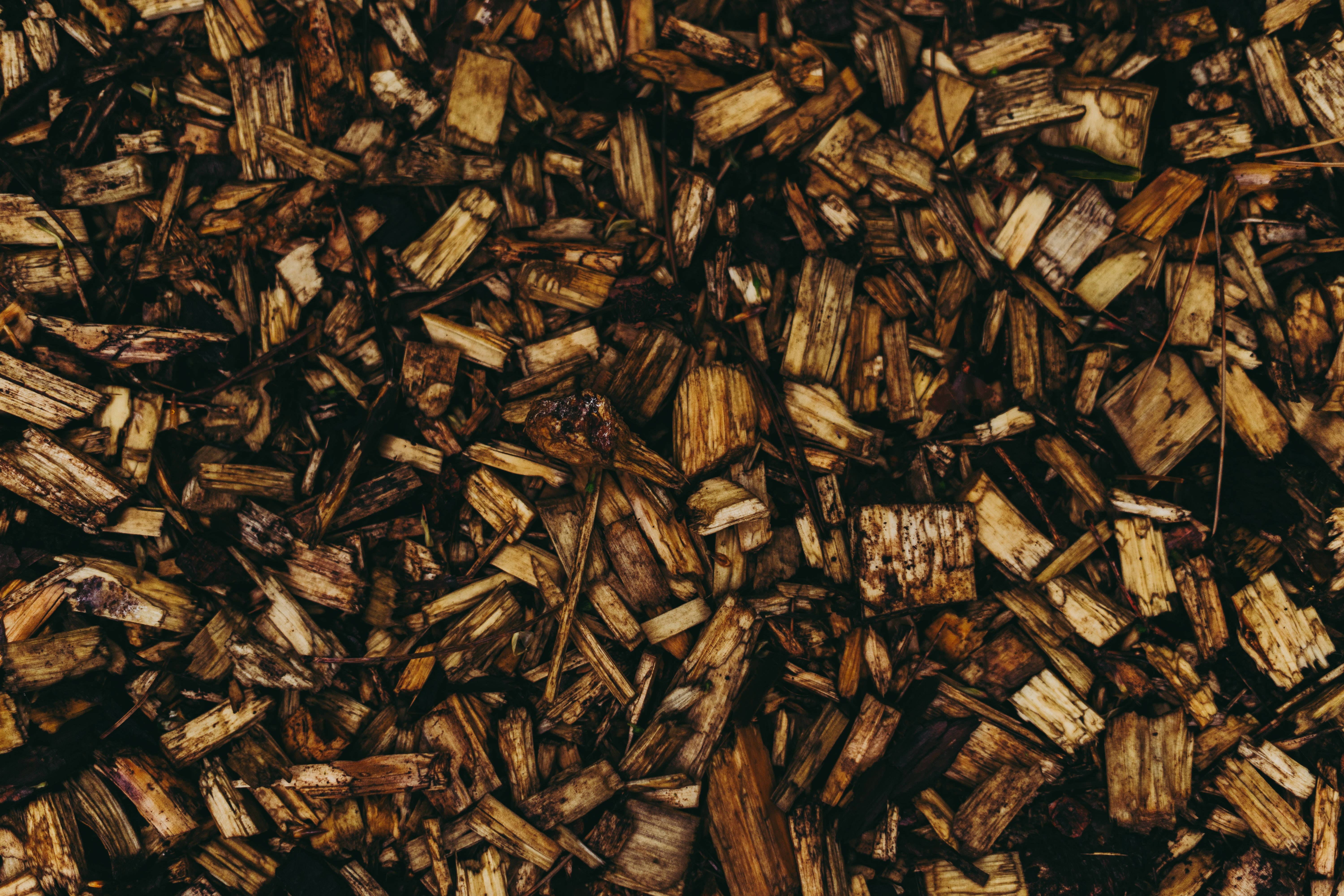 wood chips, earthy browns, tans, 5K Desktop Wallpaper